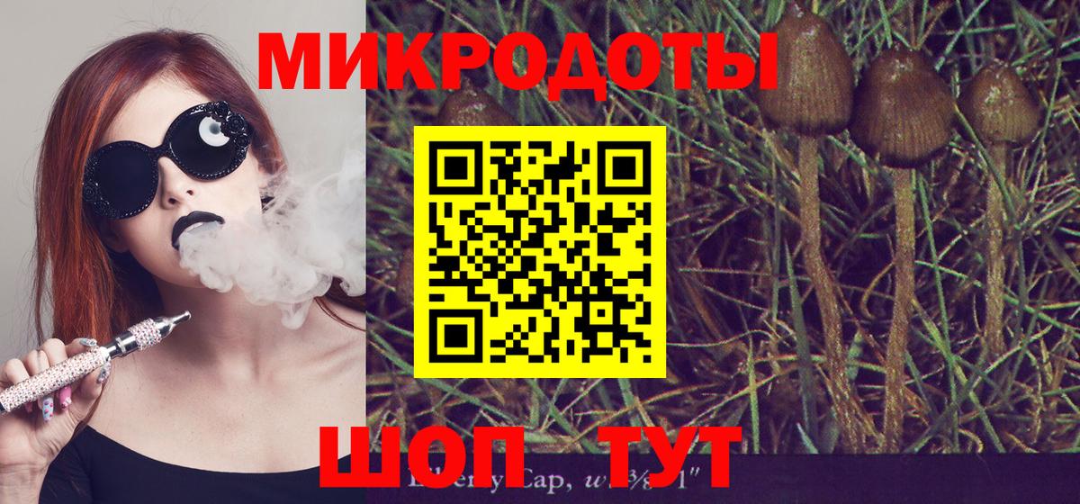 Галлюциногенные грибы мухоморы Рязань