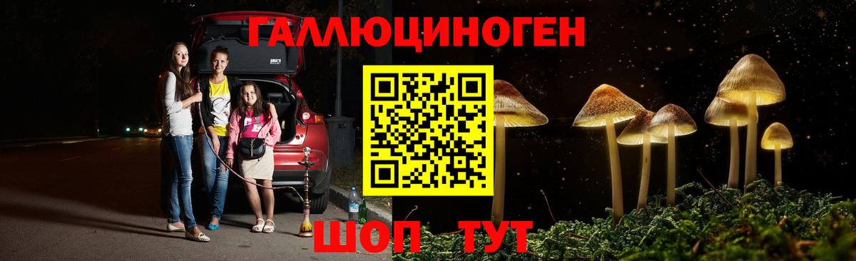Псилоцибиновые грибы прущие грибы  как найти наркотики  Рязань  Вход с VPN  Псилоцибиновые грибы Cubensis 